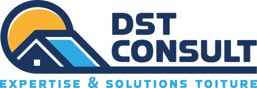 DST Consult Logo